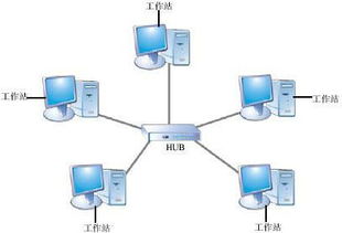 西城高級(jí)中學(xué)網(wǎng)絡(luò)技術(shù)應(yīng)用模塊期末試題解析 計(jì)算機(jī)軟硬件技術(shù)開(kāi)發(fā)